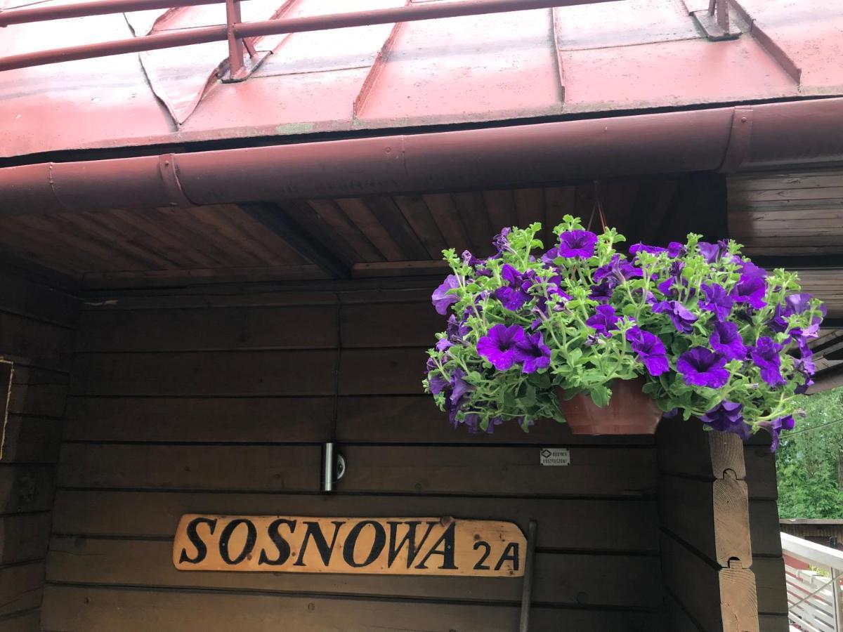 Sosnowy Zakatek Villa Wisla Luaran gambar